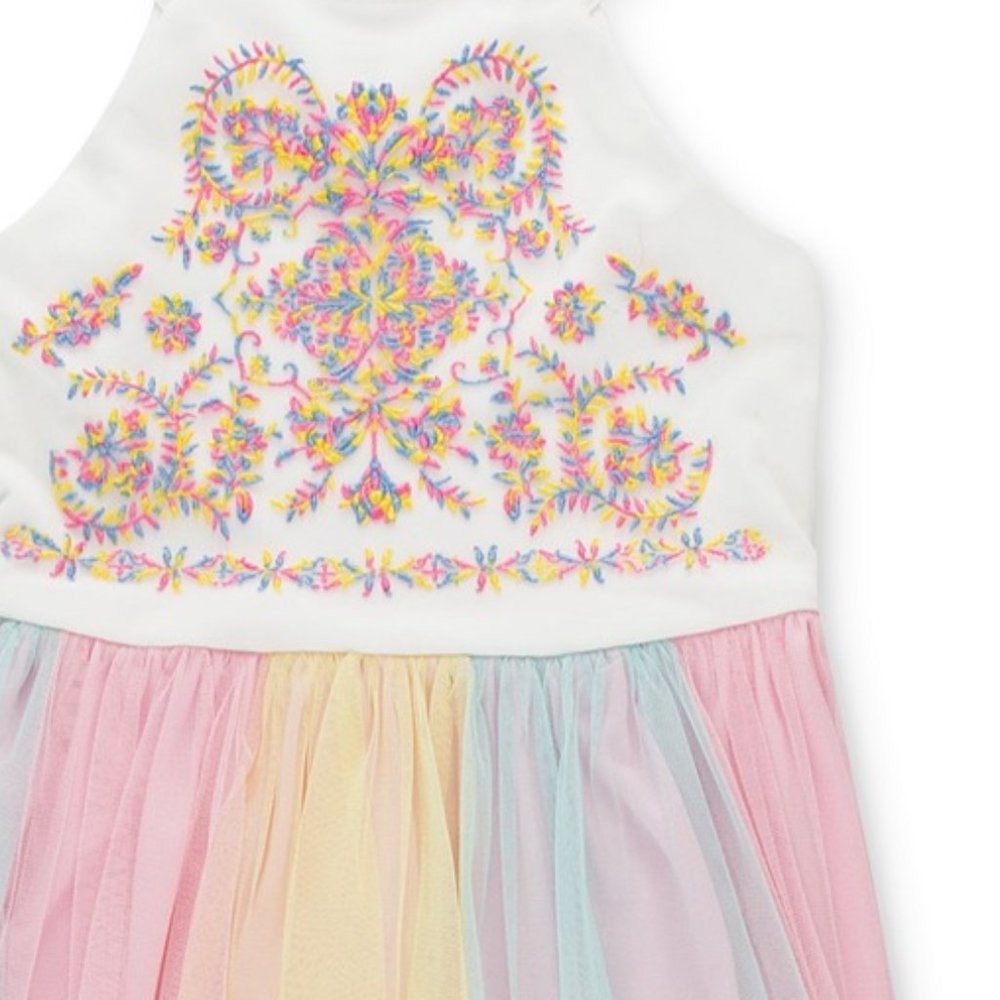 Embroidered High-Low Hem Dress - Picture 2 of 3